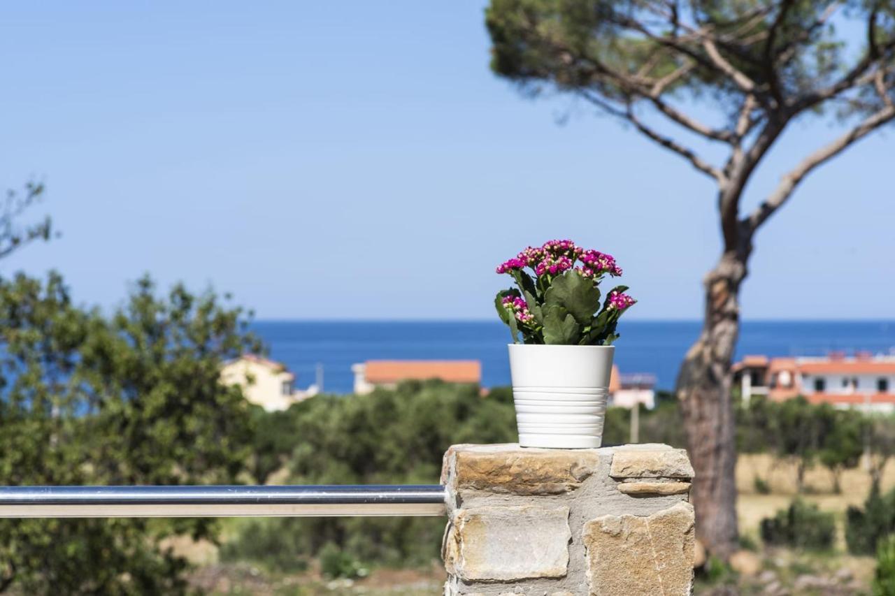 B&B Il Sogno Santa Maria di Castellabate Ngoại thất bức ảnh