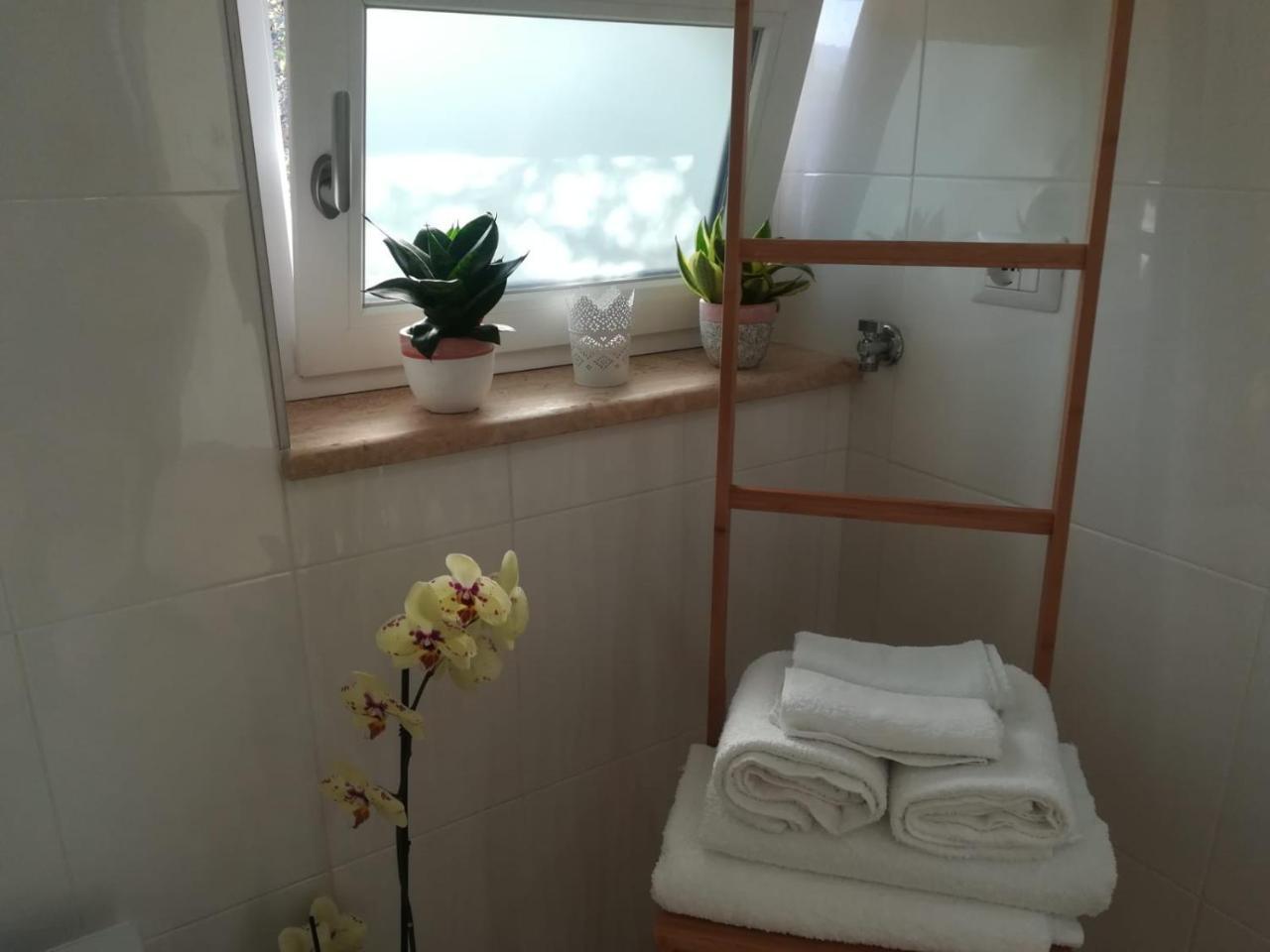 B&B Il Sogno Santa Maria di Castellabate Ngoại thất bức ảnh