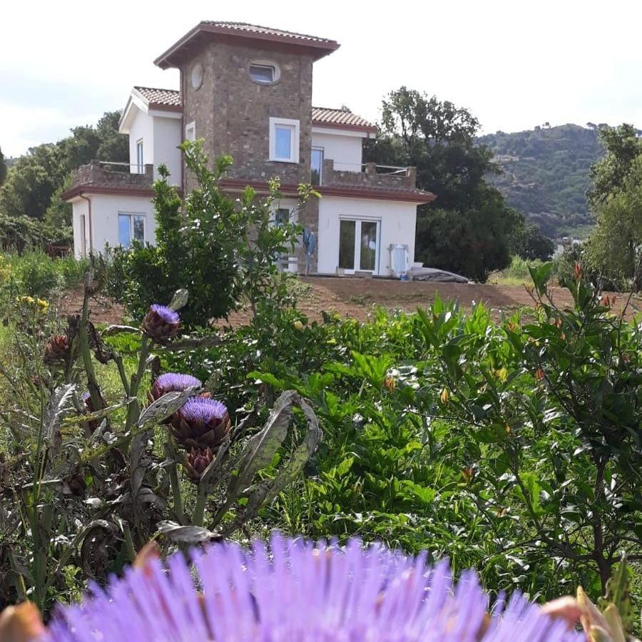 B&B Il Sogno Santa Maria di Castellabate Ngoại thất bức ảnh