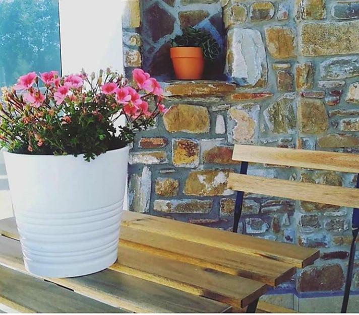 B&B Il Sogno Santa Maria di Castellabate Ngoại thất bức ảnh