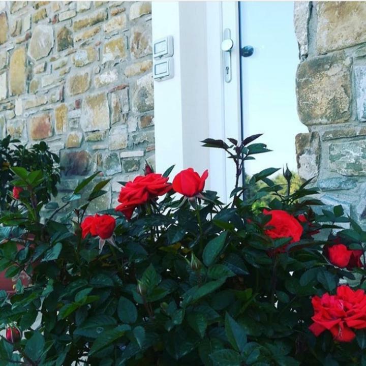 B&B Il Sogno Santa Maria di Castellabate Ngoại thất bức ảnh